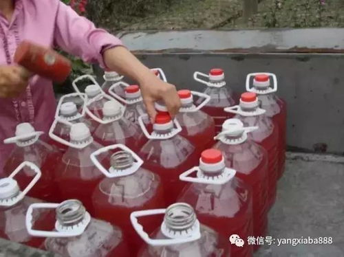 光合細菌在水產養殖上的妙用,您都知道