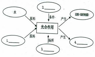 如圖甲表示春季晴天某密閉大棚內(nèi)一晝夜co2濃度的變化,圖乙曲線a表示某種植物在20 co2濃度為0.03 的環(huán)境中隨著光照強度的變化光合作用合成量的變化,在b點時改變條件