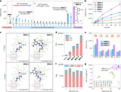 單層金屬有機(jī)框架材料助力高效人工光合作用