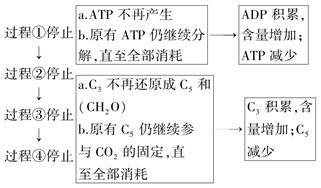 &ldquo;模型法&rdquo;分析光合作用過程中的物質(zhì)含量變化