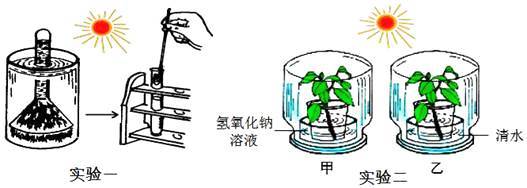 某學校生物科技活動小組的同學們對&ldquo;環(huán)境因素對光合作用強度的影響&rdquo;,設(shè)計了如下A、B兩組實驗: